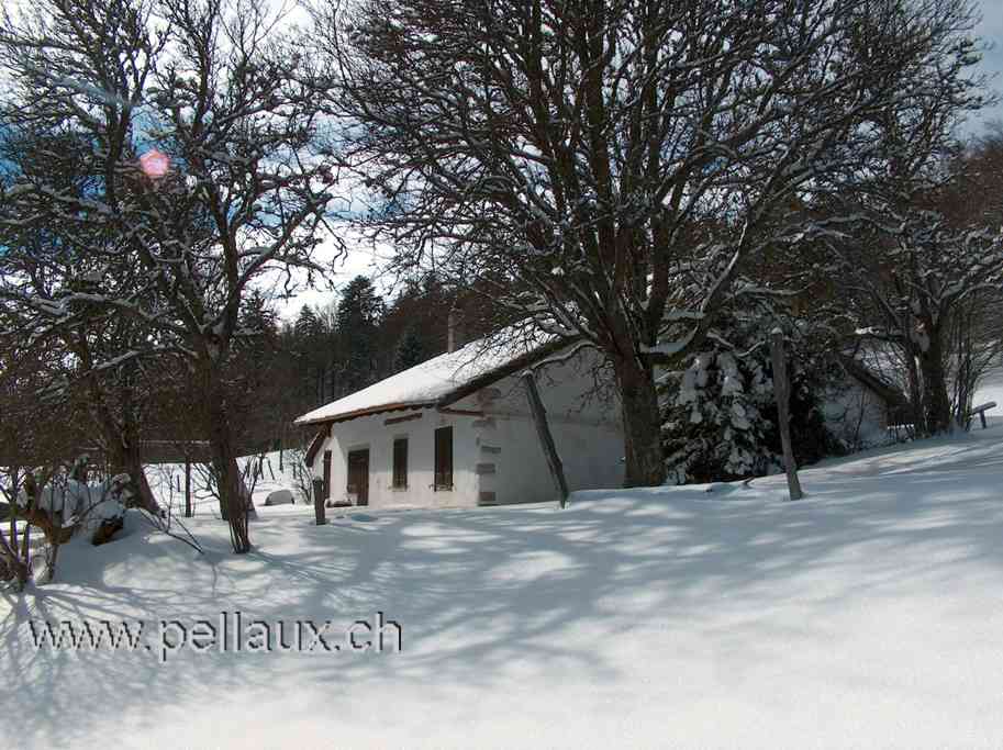 Fruitire de Bevaix en hiver