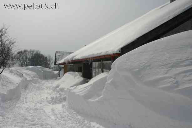 Les Petites Fauconnires en hiver